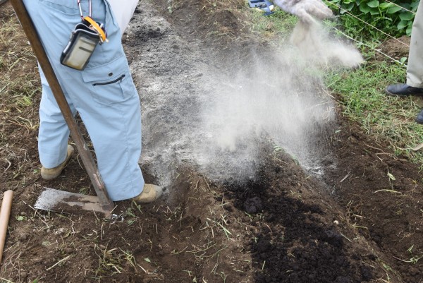 石灰を用いた雑草対策｜効果的な使用方法と注意点サムネイル